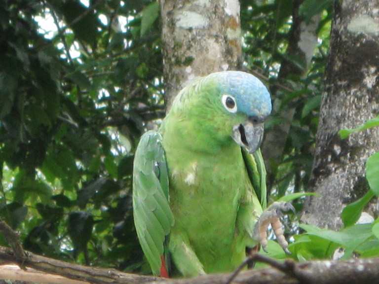 slideshow image